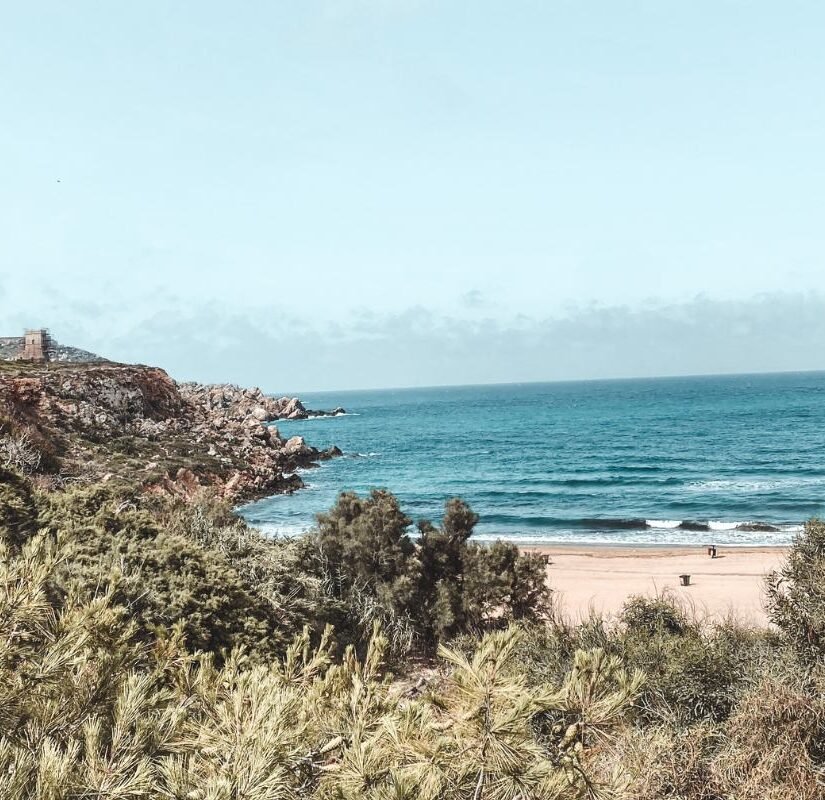 wellness coach, spiritual life, life coach, how to live your life, mindful living